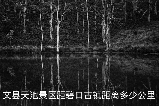 碧口古鎮，文縣天池景區距碧口古鎮距離多少公里