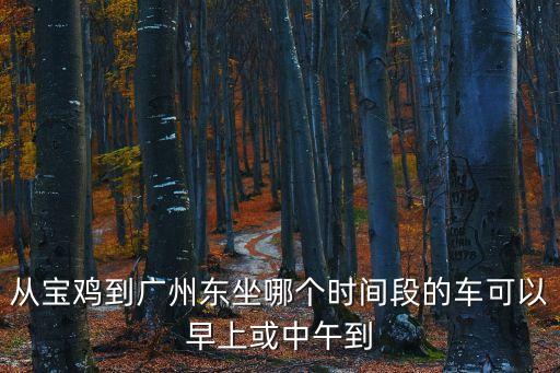 寶雞到廣州z232是幾點，從寶雞到廣州東坐哪個時間段的車可以早上或中午到