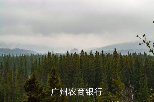 廣州農商銀行的隨享金申請表，廣州農商銀行