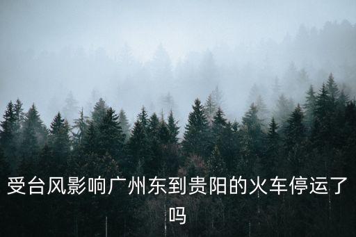 受臺風(fēng)影響廣州東到貴陽的火車停運(yùn)了嗎