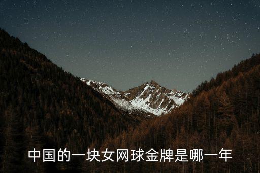 中國(guó)的一塊女網(wǎng)球金牌是哪一年