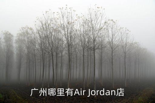廣州東川路建雅臺(tái)，廣州哪里有Air Jordan店