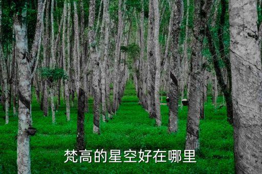 梵高的星空好在哪里