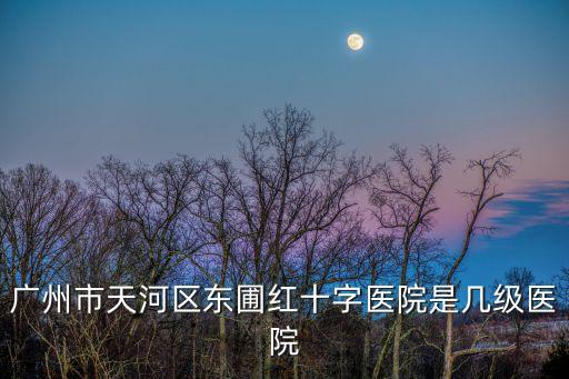 廣州市天河區東圃紅十字醫院是幾級醫院