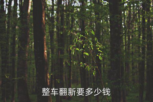 整車翻新要多少錢
