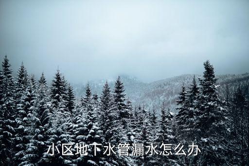廣州海珠區(qū)地下管道漏水，水管漏水了怎么辦廣州這邊哪里有修補(bǔ)水管的