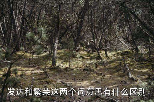 發達的意思，分別都很發達什么意思