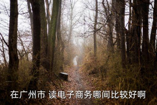在廣州市 讀電子商務(wù)哪間比較好啊
