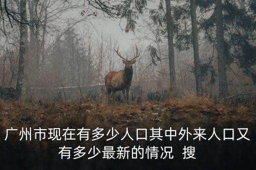 廣州外地人現(xiàn)狀，廣州市現(xiàn)在有多少人口其中外來人口又有多少最新的情況  搜