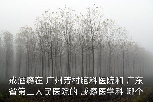 戒酒癮在 廣州芳村腦科醫院和 廣東省第二人民醫院的 成癮醫學科 哪個