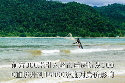 前方300米引入超市后房價從5000直接升到15000設施對房價影響