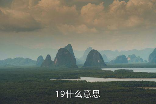 19什么意思