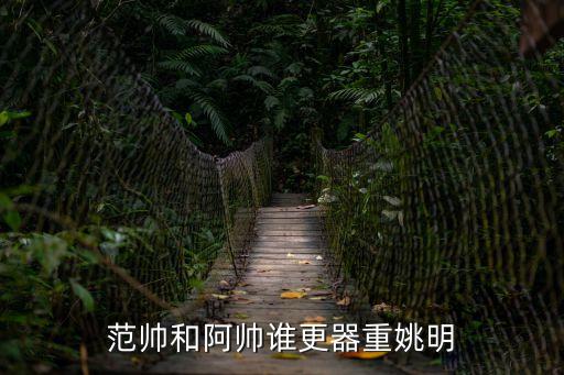 范帥和阿帥誰更器重姚明