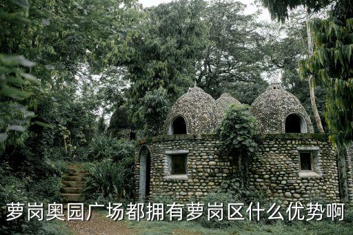 蘿崗?qiáng)W園廣場都擁有蘿崗區(qū)什么優(yōu)勢啊