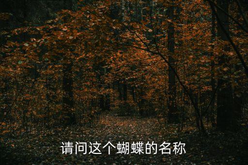 紅珠鳳蝶，紅紋鳳蝶幼蟲的食草植物是什么
