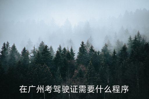 廣州考駕照流程c1，在廣州考駕駛證需要什么程序