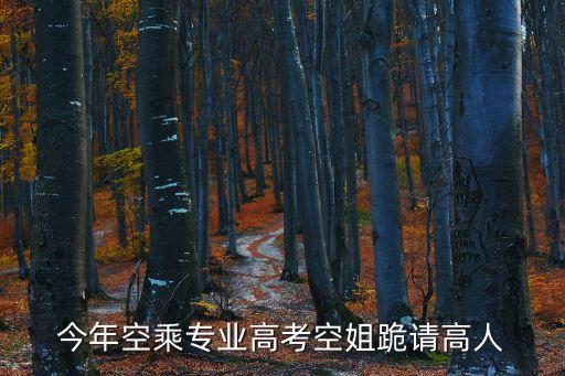 今年空乘專業高考空姐跪請高人