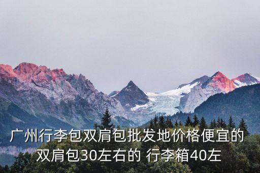 廣州旅行包價格，廣州行李包雙肩包批發地價格便宜的 雙肩包30左右的 行李箱40左