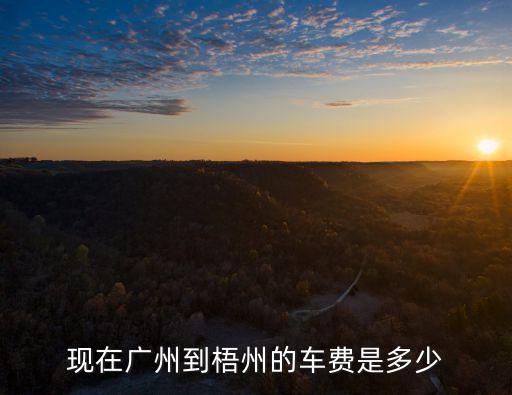 現在廣州到梧州的車費是多少
