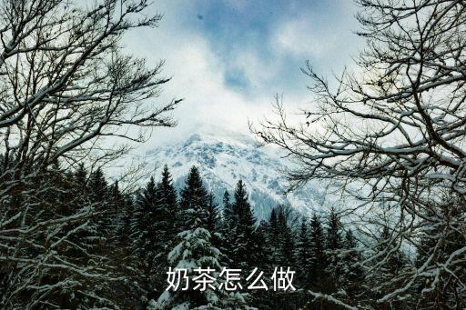 奶茶怎么做