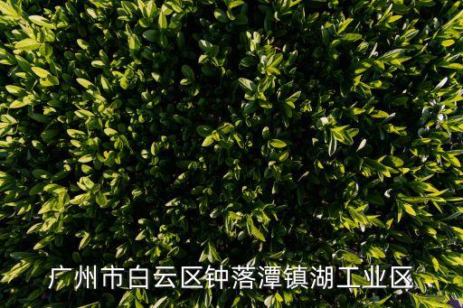 廣州德隆智能科技有限公司，廣州市白云區鐘落潭鎮湖工業區