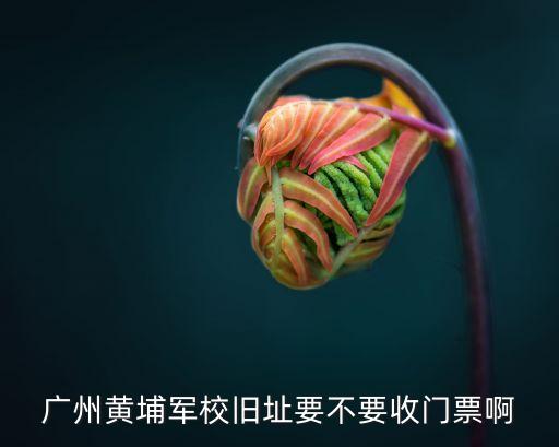 清明節(jié)廣州黃埔大橋收費(fèi)嗎，廣州路橋費(fèi)怎么收的