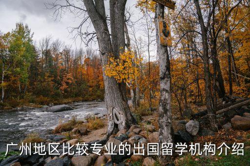 出國留學(xué)機(jī)構(gòu)，廣州地區(qū)比較專業(yè)的出國留學(xué)機(jī)構(gòu)介紹