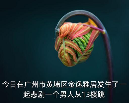 今日在廣州市黃埔區(qū)金逸雅居發(fā)生了一起悲劇一個男人從13樓跳
