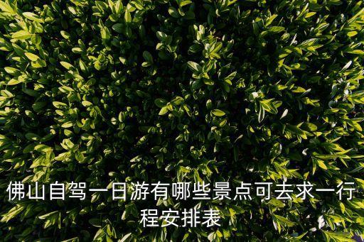 廣州佛山省內自駕出行通知，佛山自駕一日游有哪些景點可去求一行程安排表