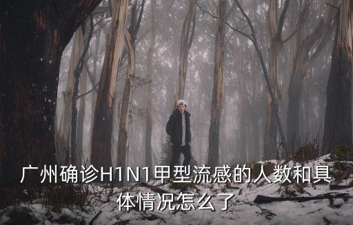 廣州確診H1N1甲型流感的人數(shù)和具體情況怎么了