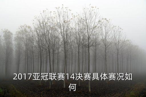 2017亞冠聯賽14決賽具體賽況如何