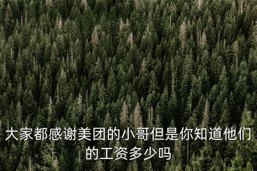 大家都感謝美團的小哥但是你知道他們的工資多少嗎