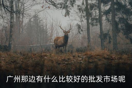 廣州日雜批發(fā)市場生意，廣州哪有生活用品批發(fā)市場