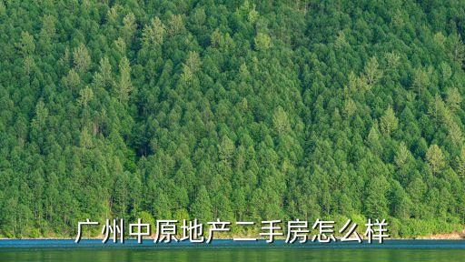 廣州中原樓盤，廣州中原地產分別分布在那些區