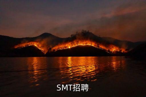 廣州smt三星工程師招聘，廣州番禺地區現在有招聘SMT貼片技術員的沒有