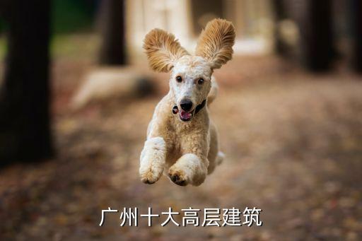 廣州西塔區(qū)高樓圖片，廣州的西塔究竟依家叫物也名呢