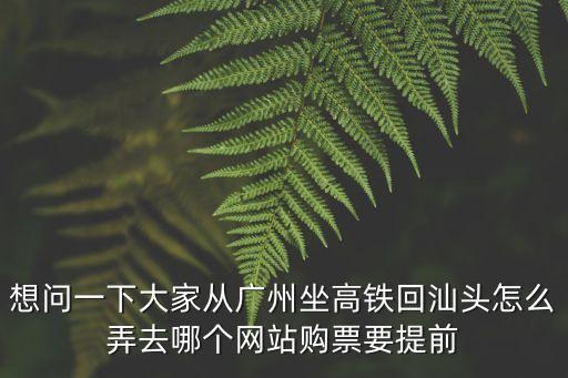 想問一下大家從廣州坐高鐵回汕頭怎么弄去哪個網站購票要提前