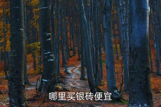 哪里買銀磚便宜