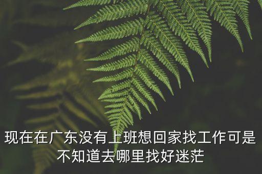 現在在廣東沒有上班想回家找工作可是不知道去哪里找好迷茫