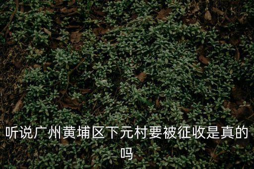 最近的廣州黃埔區(qū)有什么新聞，今日在廣州市黃埔區(qū)金逸雅居發(fā)生了一起悲劇一個(gè)男人從13樓跳