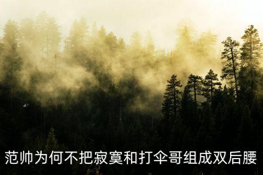 范帥為何不把寂寞和打傘哥組成雙后腰