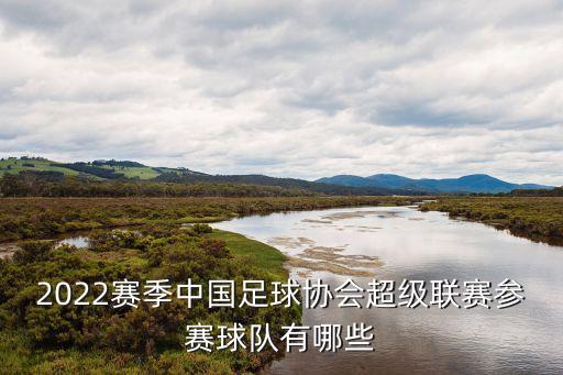 2022賽季中國足球協(xié)會(huì)超級(jí)聯(lián)賽參賽球隊(duì)有哪些