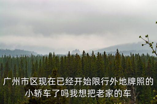 廣州市區現在已經開始限行外地牌照的小轎車了嗎我想把老家的車