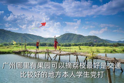 廣州荔枝摘果哪里好，廣州哪里有果園可以摘荔枝最好是交通比較好的地方本人學(xué)生黨打