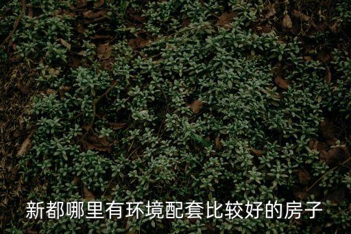新都哪里有環境配套比較好的房子