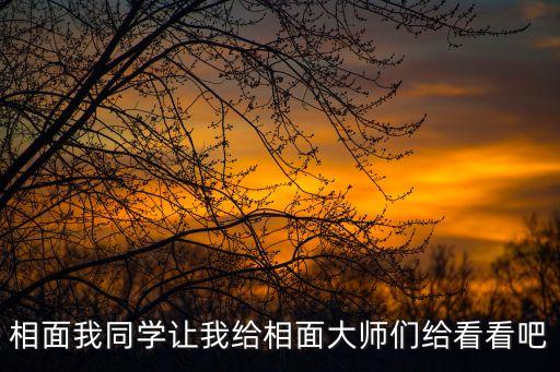 截筒鼻，鼻子怎樣有福