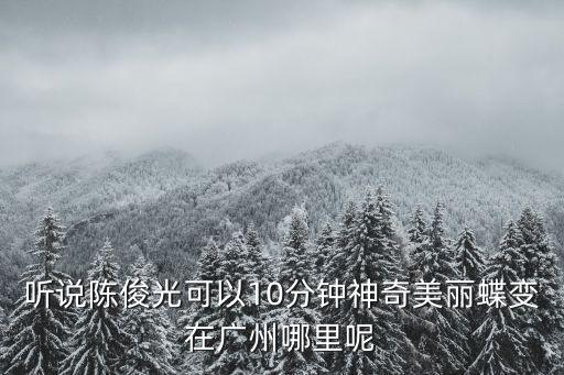 聽說陳俊光可以10分鐘神奇美麗蝶變在廣州哪里呢