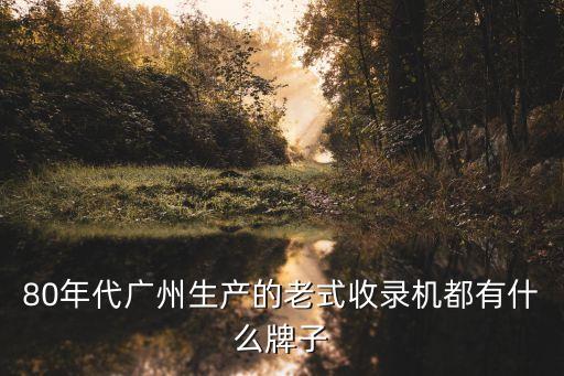 廣州南方無線錄音機，廣州市內的電子城有哪些主要做手機配件的藍牙這些除了南方大