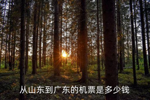 泰安去廣州飛機票多少錢，安徽到廣州的飛機票多少錢