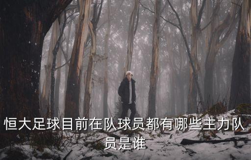 廣州恒大合格陣容，有關廣州恒大足球隊全體隊員名單